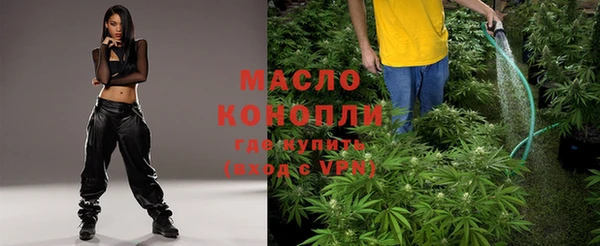Альфа ПВП Гусь-Хрустальный